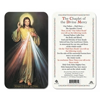 Chaplet of Divine Mercy Plastic Prayer Card