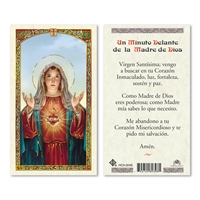 Un Minuto Delante de la Madre de Dios Laminated Prayer Card