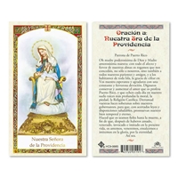 Nuestra Senora De La Providencia Laminated Prayer Card