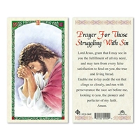 Prayer for Those Struggling with Sin Laminated Prayer Card
