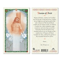 Passion of Christ Comfort Laminated Prayer Card