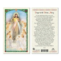 Prayer to the Divine Mercy with Angels Laminated Prayer Card