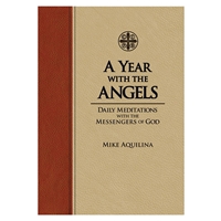 A Year with the Angels (Premium UltraSoft)